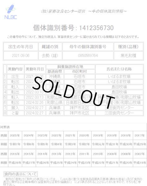 Photo6: A-5 RANK BEEF WAGYU HALAL STEAK 200gUP(1,800yen/100g) / 和牛ステーキ200gUP (6)