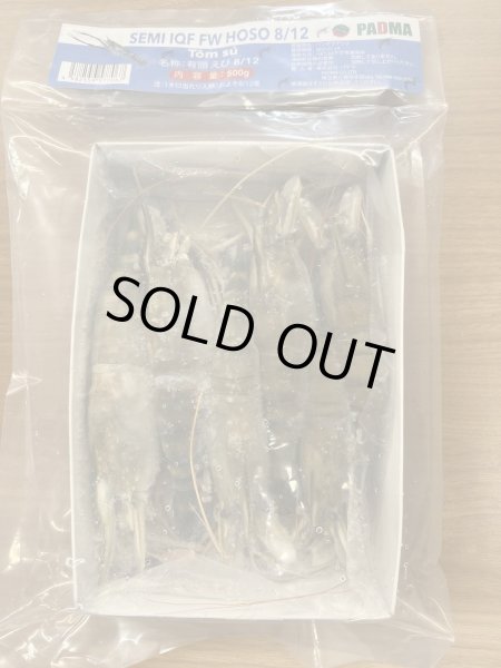 Photo1: SHRIMP 8-12 BD 500g(4-6p) /エビ 8-12 BD産(4-6p) (1)