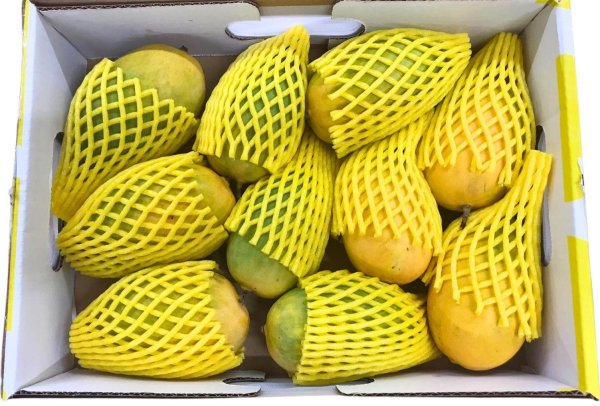 Photo1: FRESH MANGO INDIAN KESHAR 2.7kg/ マンゴーKESHAR 2.7kg (1)