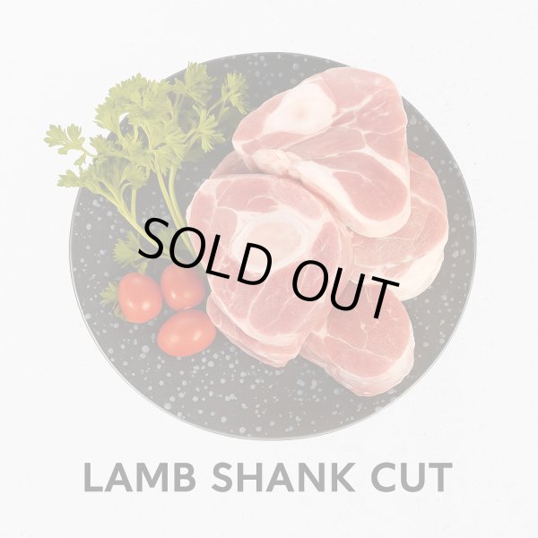 Photo1: LAMB SHANK CUT 1kg  / ラムシャンクカット 1kg(子羊すね部) (1)