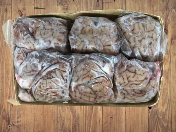 Photo2: LAMB BRAIN 6pc /子羊脳 6個入り　 (2)