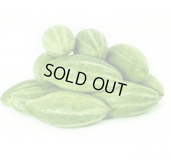 Photo1: POTOL 300g / ポトル (1)