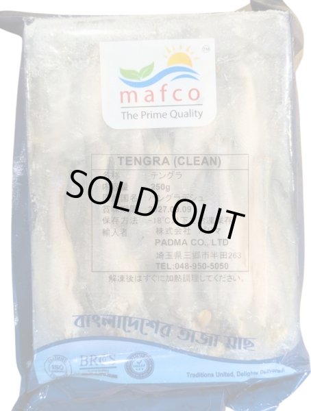 Photo1: TENGRA 250g BD / BD産テングラ 250g (1)