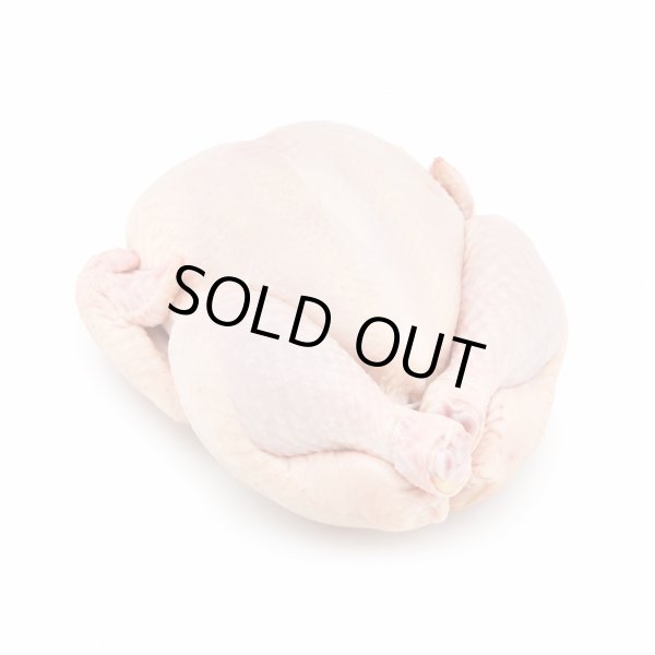 Photo1: CHICKEN NAT 1400g / 丸鶏 NAT 1400g (1)
