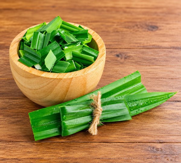 Photo2: PANDAN LEAF 30g / パンダンリーフ 30g (2)