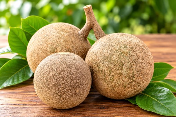 Photo1: FRESH WOOD APPLE 500g / ウッドアップル (1)