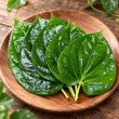 Photo1: FRESH PAN PATA (BETEL LEAF) 500g / パンパタ (1)