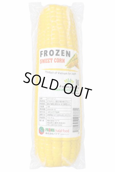 Photo1: FROZEN SWEET CORN / 冷凍スイートコーン　（トウモロコシ） (1)