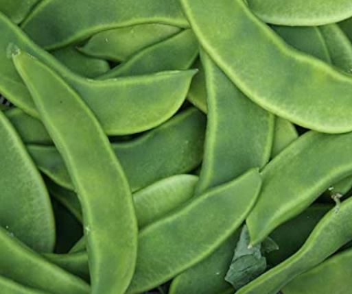 Sheem Vegetable SHEEM 400g/ シーム - PADMA HALAL FOOD